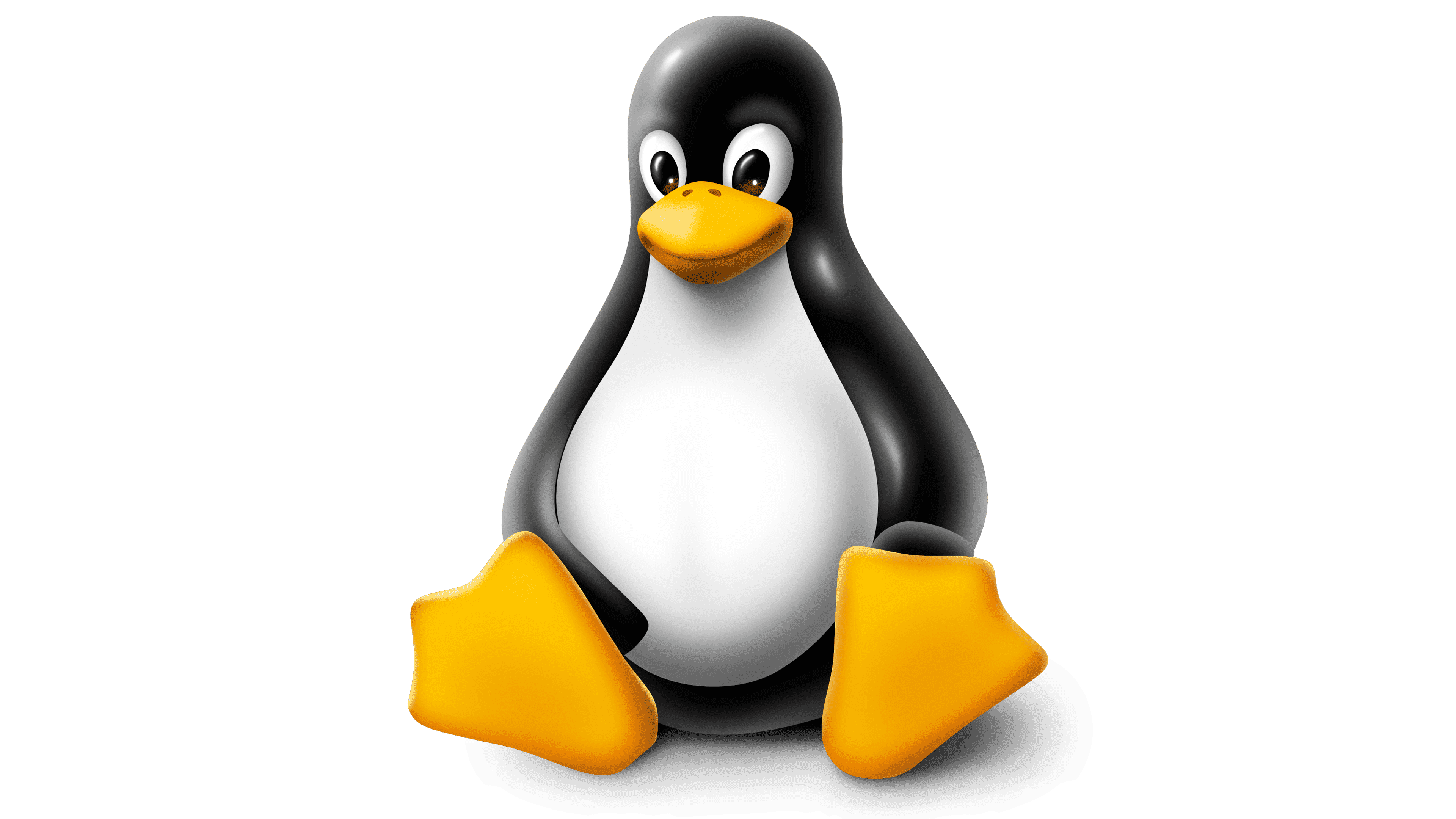 Linux Support and Solutions